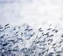 Обои Rebel Walls Nature - Ocean - R12971