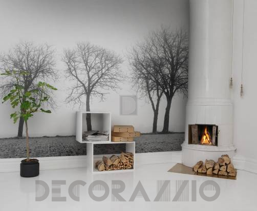 Обои Rebel Walls Greenhouse - R12981