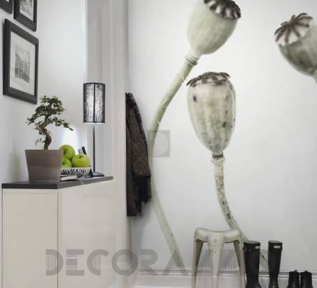 Обои Rebel Walls Greenhouse - R12991