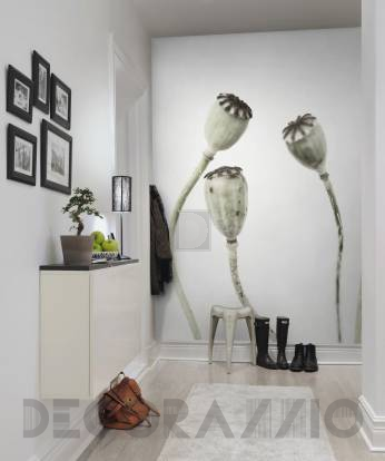 Обои Rebel Walls Greenhouse - R12991