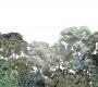 Обои Rebel Walls Nature - Forest - R13051