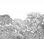 Обои Rebel Walls Nature - Forest - R13054