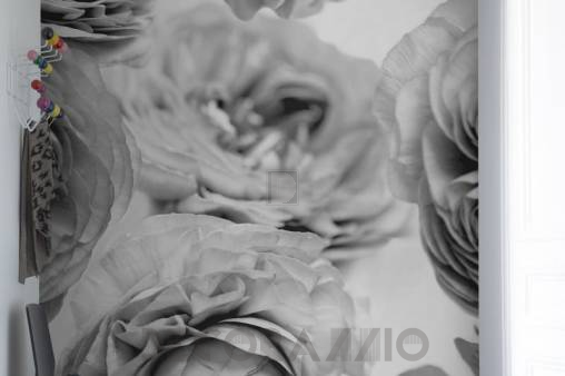 Обои Rebel Walls Floral - Close Up - R13092