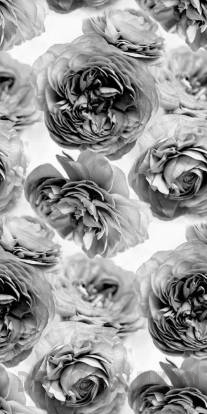 Обои Rebel Walls Floral - Close Up - R13092