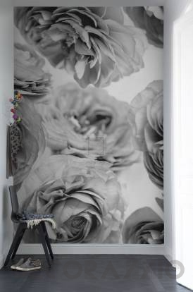Обои Rebel Walls Floral - Close Up - R13092