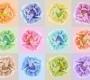 Обои Rebel Walls Floral - Close Up - R13151