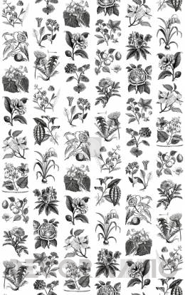 Обои Rebel Walls Floral - Flowers - R13171