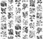 Обои Rebel Walls Floral - Flowers - R13171