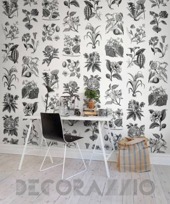 Обои Rebel Walls Floral - Flowers - R13171
