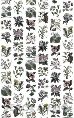 Обои Rebel Walls Floral - Flowers - R13172