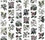 Обои Rebel Walls Floral - Flowers - R13172