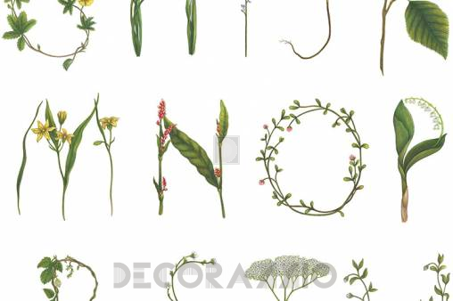 Обои Rebel Walls Floral - Flowers - R13191