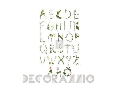 Обои Rebel Walls Floral - Flowers - R13193