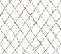 Обои Rebel Walls Greenhouse - R13221