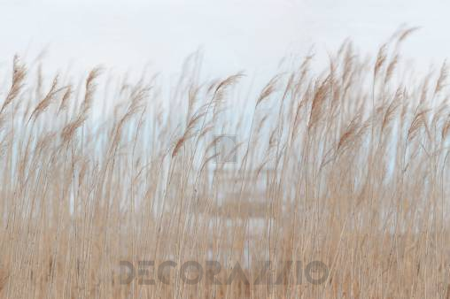 Обои Rebel Walls Shore And Lines - R13602