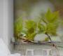 Обои Rebel Walls Floral - Close Up - R13661