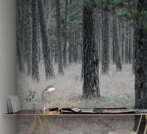 Обои Rebel Walls Nature - Forest, R13711