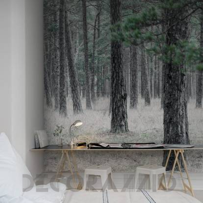 Обои Rebel Walls Nature - Forest - R13711