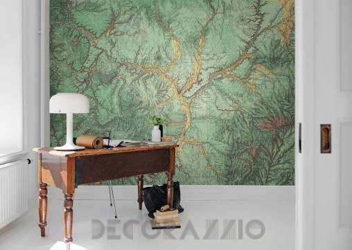 Обои Rebel Walls Maps - R13771