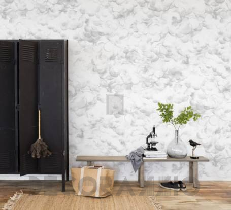 Обои Rebel Walls Curious - R14192