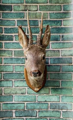 Обои Rebel Walls Surfaces - Bricks And Tiles - R14211