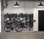 Обои Rebel Walls Curious - R14281
