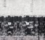 Обои Rebel Walls Curious - R14281