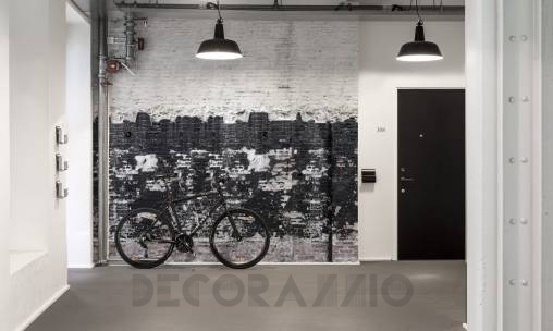 Обои Rebel Walls Curious - R14281