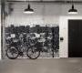Обои Rebel Walls Curious - R14281