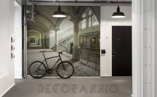 Обои Rebel Walls Curious - R14331