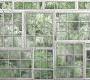 Обои Rebel Walls Curious - R14371