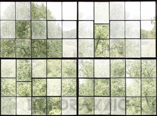 Обои Rebel Walls Curious - R14381
