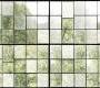 Обои Rebel Walls Curious - R14381
