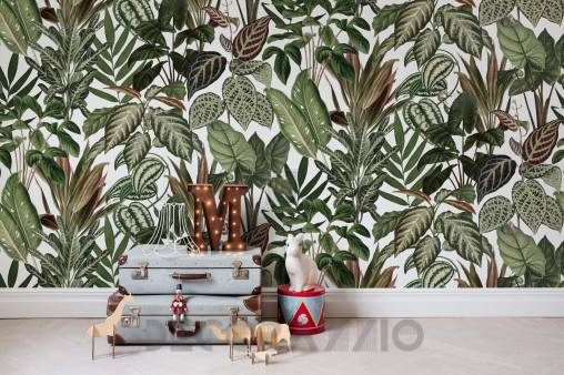 Обои Rebel Walls Kids - Animal - R14591