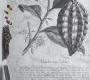Обои Rebel Walls Surfaces - Concrete And Stone - R14683
