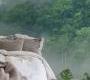 Обои Rebel Walls Nature - Forest - R15062