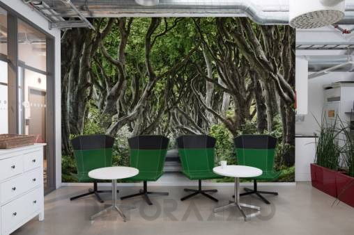 Обои Rebel Walls Nature - Forest - R15251