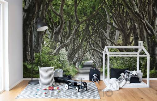 Обои Rebel Walls Nature - Forest - R15251