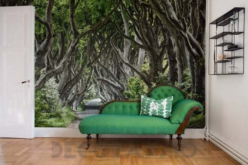 Обои Rebel Walls Nature - Forest - R15251