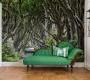 Обои Rebel Walls Nature - Forest - R15251