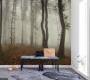 Обои Rebel Walls Nature - Forest - R15281
