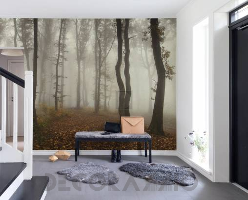 Обои Rebel Walls Nature - Forest - R15281