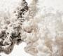 Обои Rebel Walls Eclectic Dash - R15452