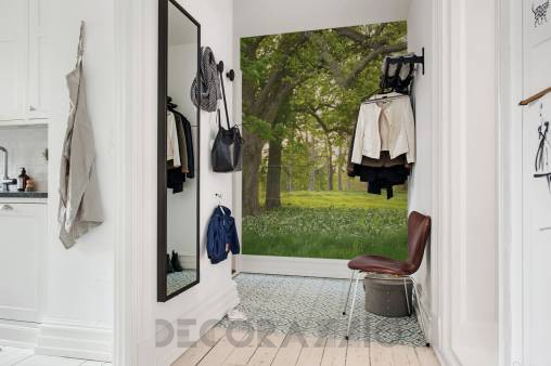 Обои Rebel Walls Nature - Forest - R15521