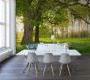 Обои Rebel Walls Nature - Forest - R15521
