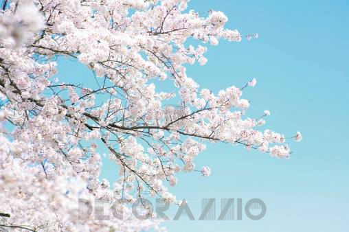 Обои Rebel Walls Nature - Seasons - R15541