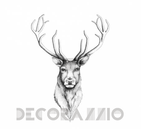 Обои Rebel Walls Kids - Animal - R50101