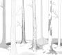 Обои Rebel Walls Nature - Forest - R50104