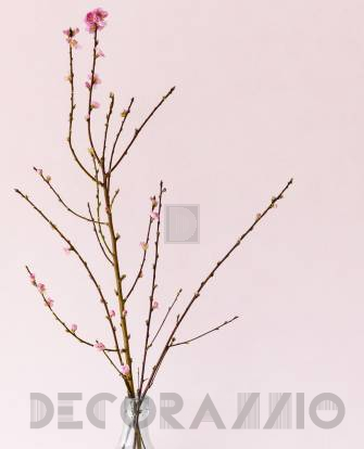 Обои Eijffinger Blend - 363051