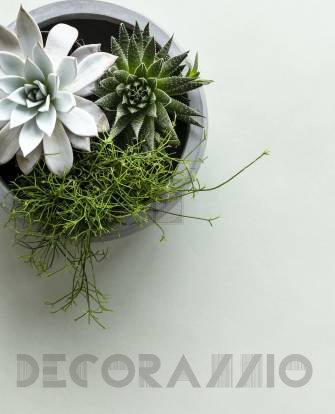 Обои Eijffinger Blend - 363055